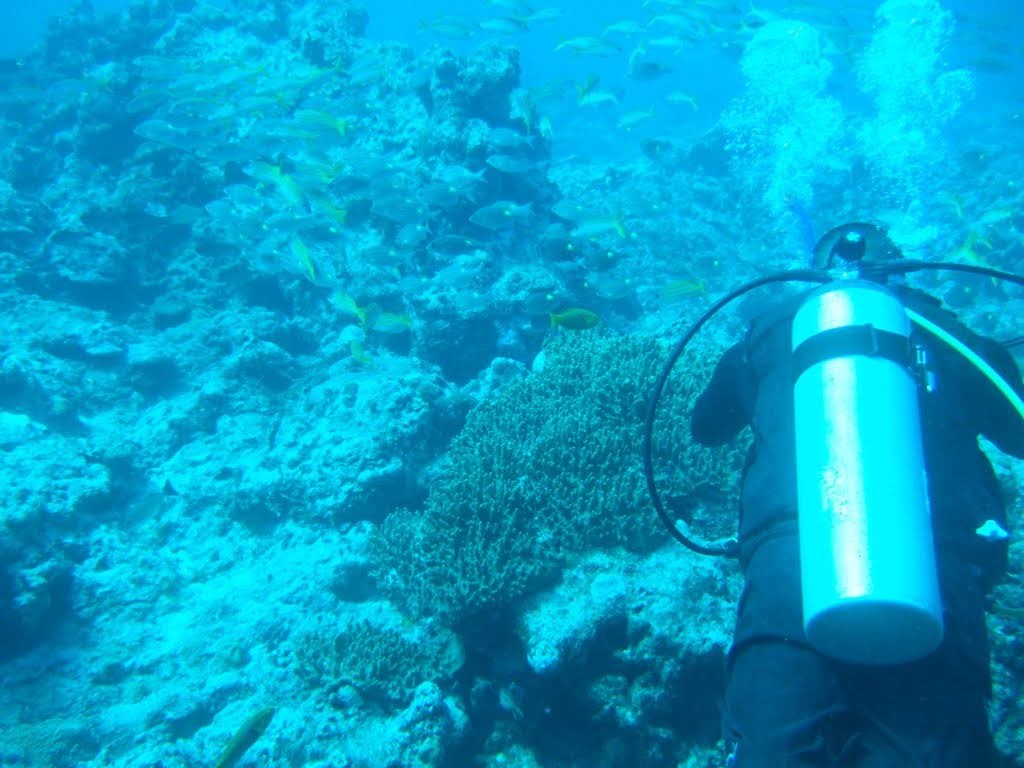 diving_in_guam_pauls